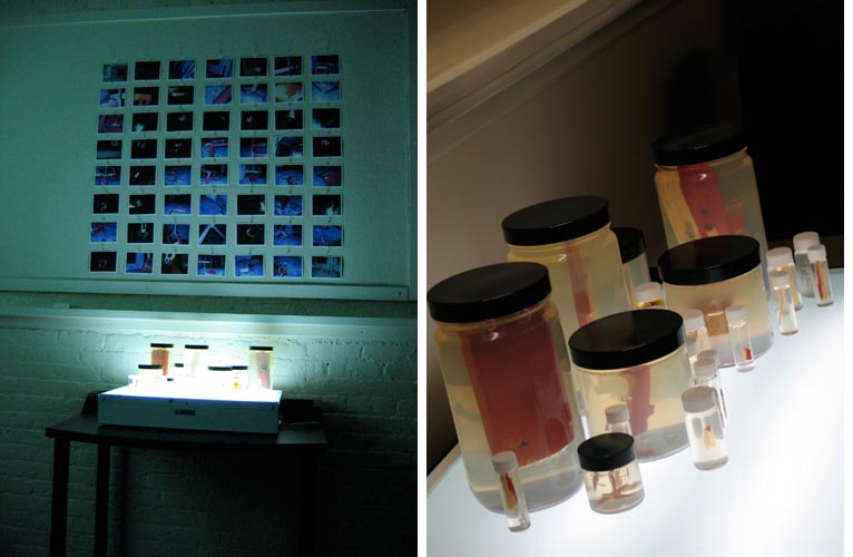 Left: as it was presented in a classroom; Right: a close-up of the jars. I used unflavored gelatin to simulate the look of formalin. It gave it a slightly aged and creepy patina.